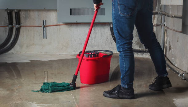 Best Water damage contractors near me  in Forest, MS