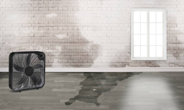 Best Flood restoration services  in Forest, MS