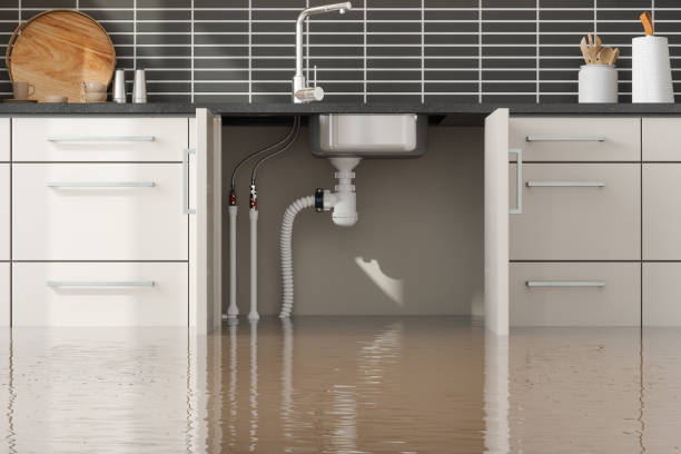 Best Ceiling water damage repair  in Forest, MS