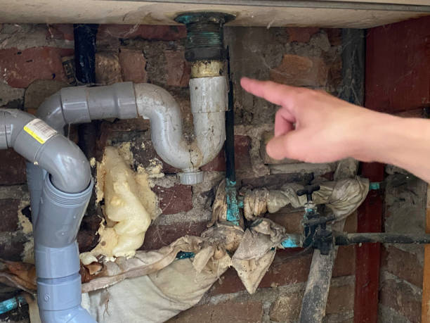 Best Residential water damage restoration  in Forest, MS