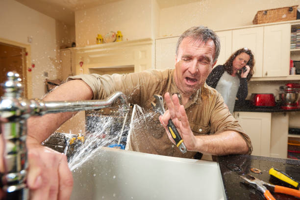 Best Basement water damage restoration  in Forest, MS